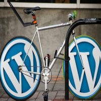 Use wordpress for DIY web design