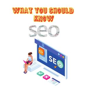 seo-agency-management-auckland-what-you-should-know-image